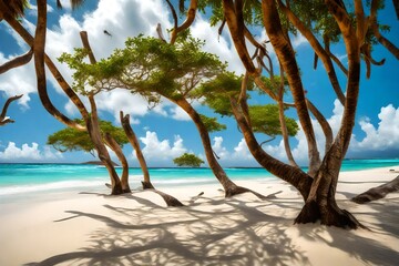 palm trees on the beach