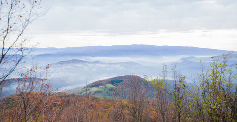 Discover a breathtaking panoramic view of a majestic wilderness.