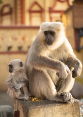 インド旅行　ヨガの聖地　リシケシ