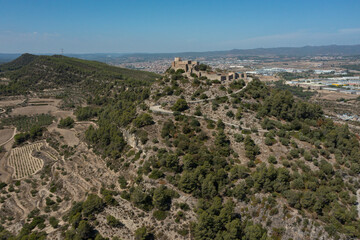 Fototapeta na wymiar Aerial view of the castle Claramunt
