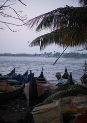 インド旅行　南インド