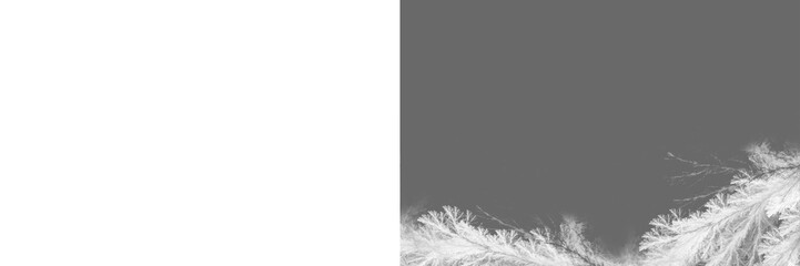 Frostwork,  snow frost , frozen ice crystals frame on transparent background, frame border