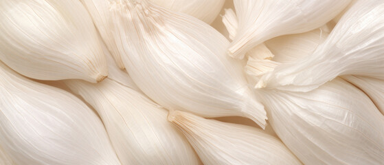 Garlic bulb nestled in its protective husk.