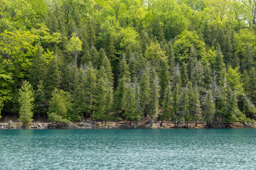 Taken in Syracuse NY, trees lining the shore of Green Lakes with turquoise coloured water. Taken on a sunny day with no people.