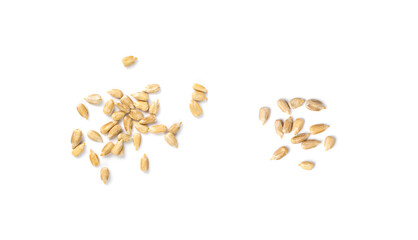 Peeled Sunflower Seeds Isolated, Raw Sunflower Kernels Group, Sun Flower Grains, Peeled Sunflower Seeds