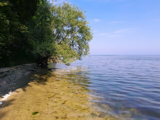 Wild coast of Baltic Sea. Puck Bay.