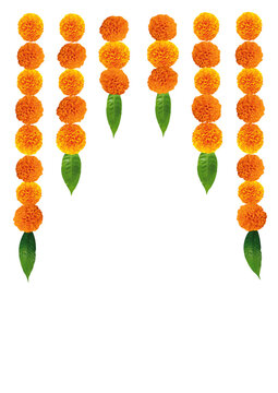 marigold garland for indian festival. vector