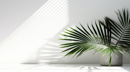 Palm Leaf Shadows on Light Background. AI generated