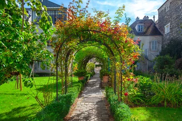 Gartenposter Paris Arched entrance with roses