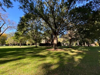 Obraz premium college