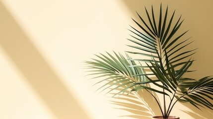 Fototapeta na wymiar Simplicity and Nature: Palm Leaf Shadows on Light Background in a Minimalistic. AI generated