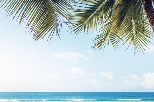Frame the summer beach view with coconut trees.