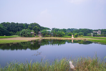 Reflection of trees in the lake water against the blue sky landscape countryside in Bangladesh