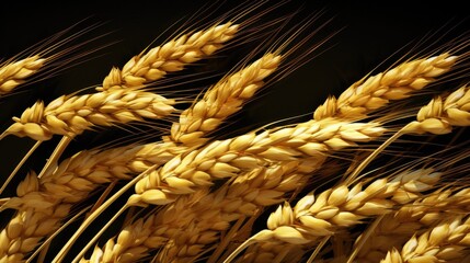 cereals (oats, wheat, barley, corn, rye) focusing on the details generative ai