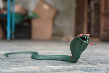 Fake snake toy. Simulation cobra place a scare trick at front porch of the house.