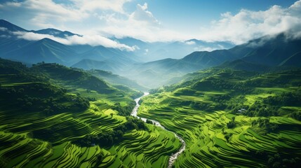 Naklejka premium An aerial view of a vast and lush rice field, Generative AI
