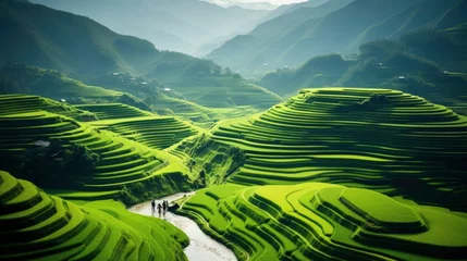 Wandaufkleber An aerial view of a vast and lush rice field, Generative AI © kanesuan