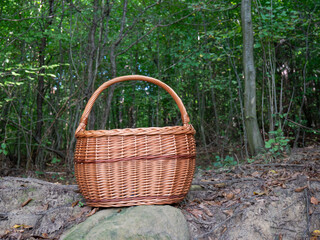 Mushroom picker's wicker basket will help to store mushrooms during harvesting.