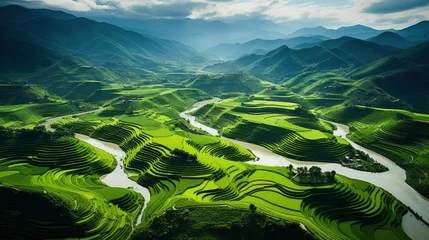 Foto auf Acrylglas Reisfelder An aerial view of a vast and lush rice field, Generative AI
