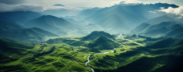 An aerial view of a vast and lush rice field, Generative AI