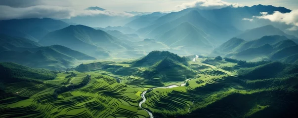 Foto auf Acrylglas Reisfelder An aerial view of a vast and lush rice field, Generative AI