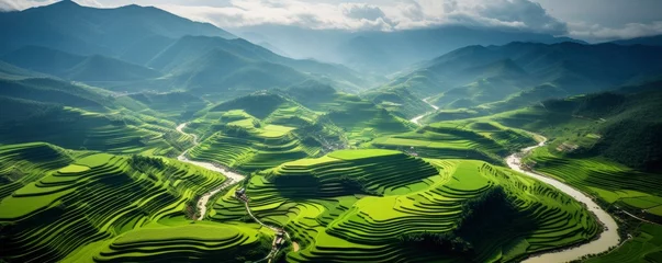 Fotobehang An aerial view of a vast and lush rice field, Generative AI © kanesuan