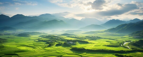 Naklejka premium An aerial view of a vast and lush rice field, Generative AI
