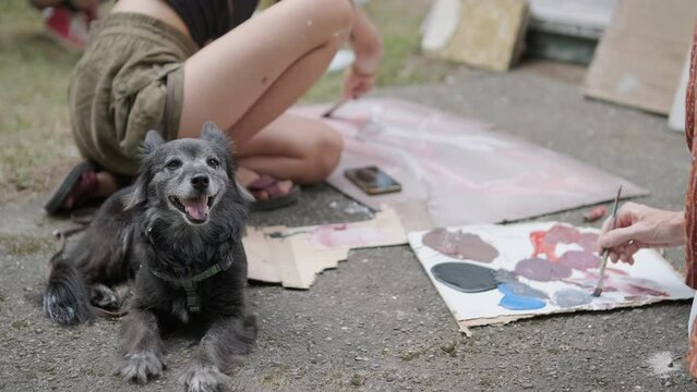 A happy dog sits on the asphalt on vacation against the backdrop of people who are painting with paints.
