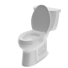 3D rendering illustration of a flush toilet