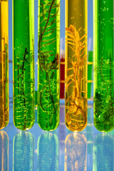Algae fuel biofuel industry lab researching for alternative to fossil algae fuel or algal biofuel. ZERO CARBON Emission concept.