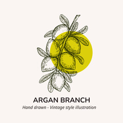 Hand drawn vector illustration of argan. Argan sketch. Vector illustration of argan for logo, label template. Argan oil logo template. 