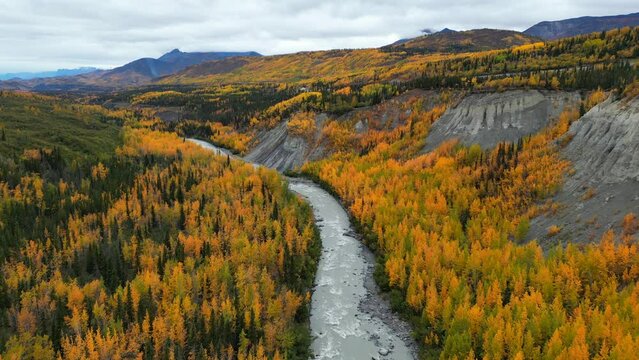 Aerial shot of Alaskan landscape in fall season with colorful trees and river