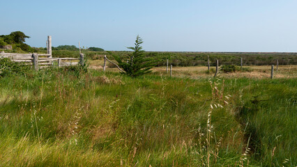 Fototapeta premium Polder de Sébastopol , Réserve naturelle, Ile de Noirmoutier, Vendée, 85, France