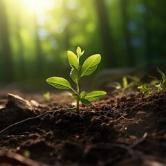 A picture of a small plant emerging from the ground. This image can be used to represent growth, new beginnings, or the concept of starting from scratch.