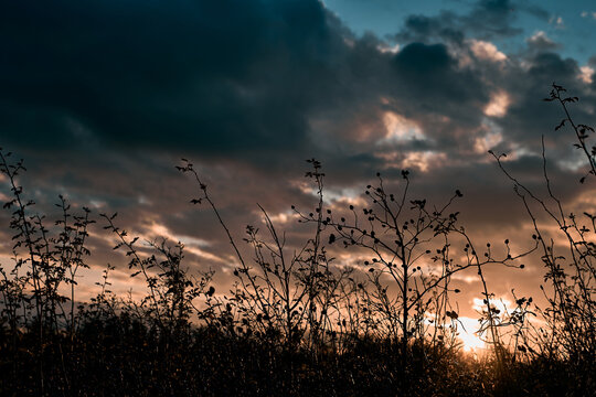 sunset in the steppe 1