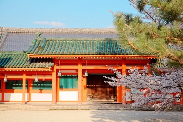 Naklejka premium Scenic view of majestic Heian Jingu Temple (Shrine) in Kyoto, Japan, with a beautiful cherry blossom tree ( Sakura ) blooming by the traditional Japanese wooden architecture under blue sunny sky