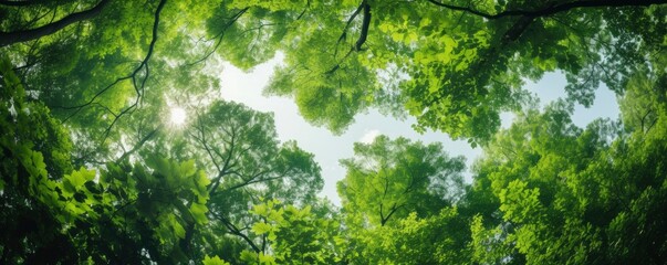 Looking up at the green tops of trees, Generative AI - obrazy, fototapety, plakaty