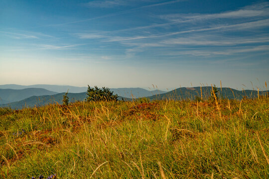 A mountain range in the Bieszczady Mountains in the area of Tarnica, Halicz and Rozsypaniec.