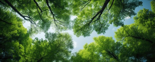 Looking up at the green tops of trees, Generative AI