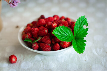 A bowl of beautiful ripe garden strawberries, decorated with a leaf