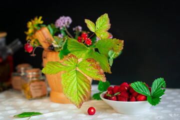 Magic still life, set for herbalism, berries and grass of strawberries and other wild medicinal...