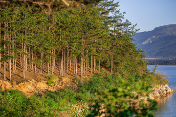 Fototapeta premium lake and forest