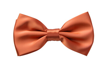 Beautiful Bow tie isolated on a white background PNG