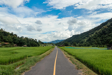 Country road or mountain middle road, Beautiful blue sky and cloud with green tree.