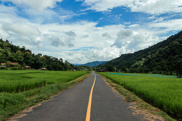 Fototapeta na wymiar Country road or mountain middle road, Beautiful blue sky and cloud with green tree.