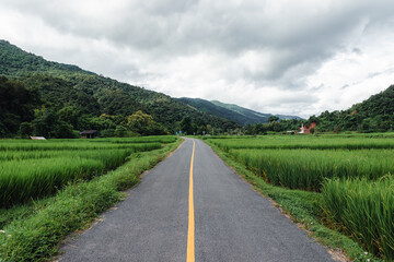Fototapeta premium Country road or mountain middle road, Beautiful blue sky and cloud with green tree.