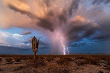 Monsoon storm with lightning in the Sonoran Desert
