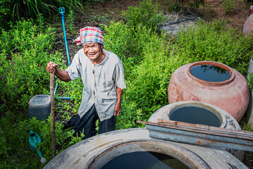 An Asian farmer man who is a poor elderly people earn a living by gardening vegetables in rural areas. There are the big jars to catch rainwater and store it for use.