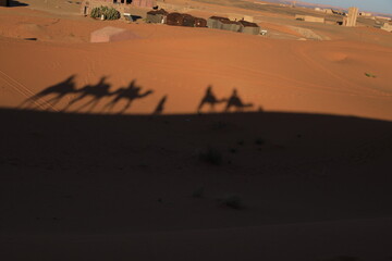 Sahara desert © SabryArdore