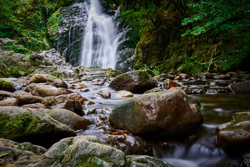 waterfall in the forest